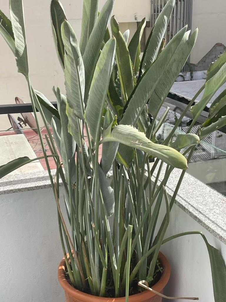 Central, Terrasse, Confortable - Bleue Residence Casablanca Ngoại thất bức ảnh